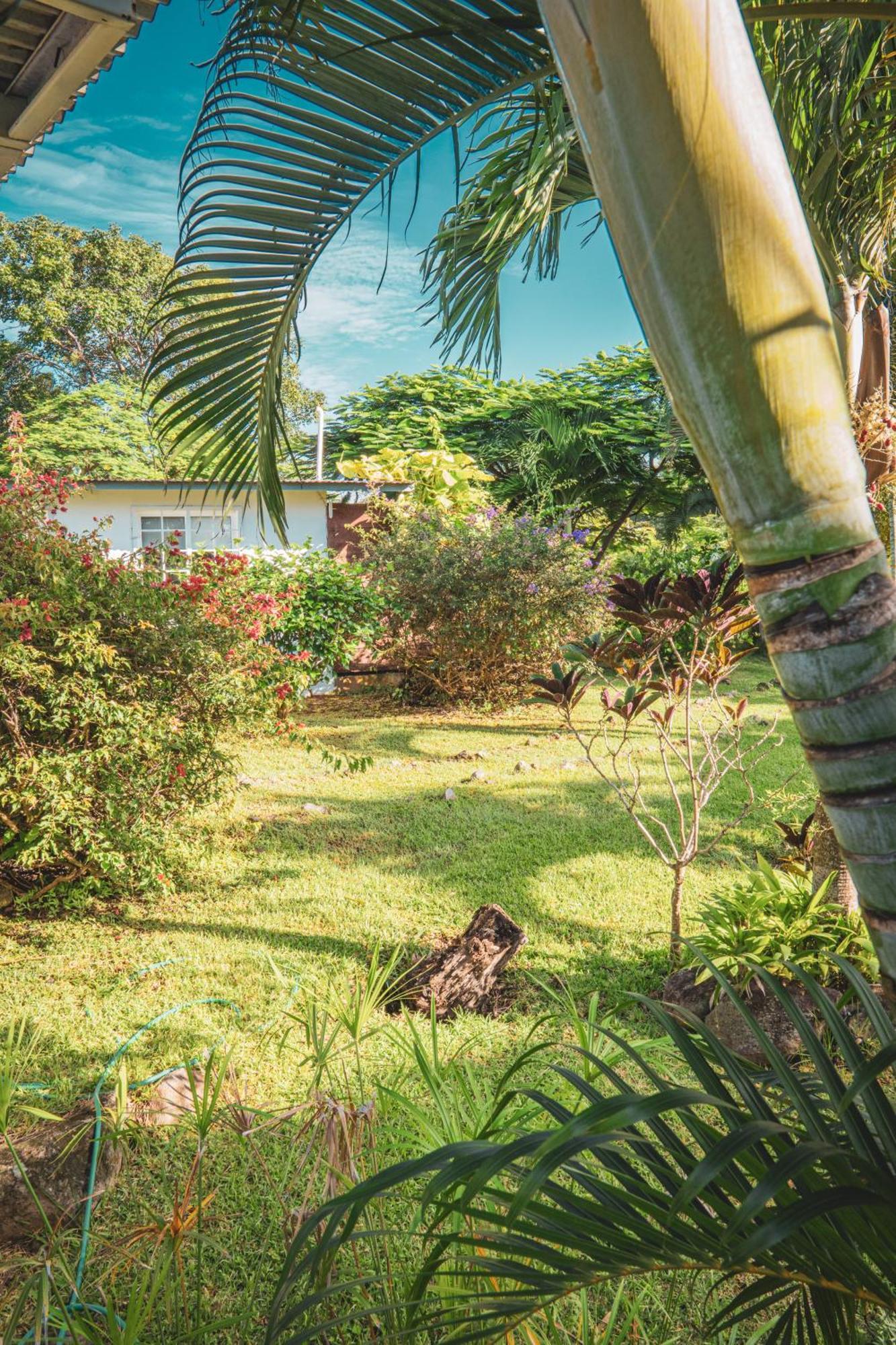 Bed and Breakfast La Maracuya Panama Playa Coronado Exteriér fotografie